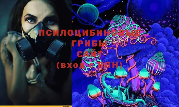 а пвп мука Алзамай