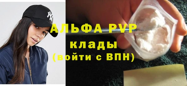 стаф Осинники
