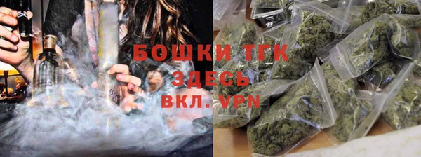 ГАЛЛЮЦИНОГЕННЫЕ ГРИБЫ Осташков