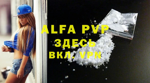 стаф Осинники