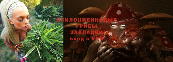 стаф Осинники